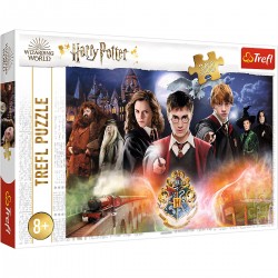 Dětské puzzle - Harry Potter - 300ks