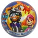 Dětský míč - Paw Patrol 23cm