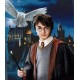 5D Diamantová mozaika - Harry Potter