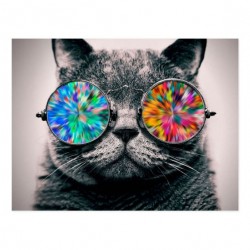 5D Diamantová mozaika - Cool cat