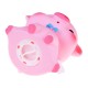 Pokladnička prasátko - Piggy bank